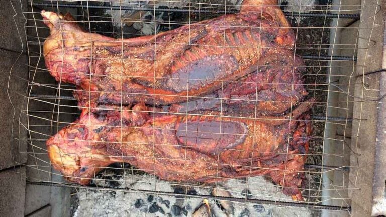 Whole hogs cooking over hardwood coals in a South Carolina barbecue pit.