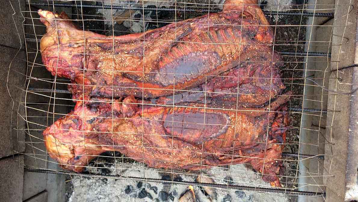 Whole hogs cooking over hardwood coals in a South Carolina barbecue pit.