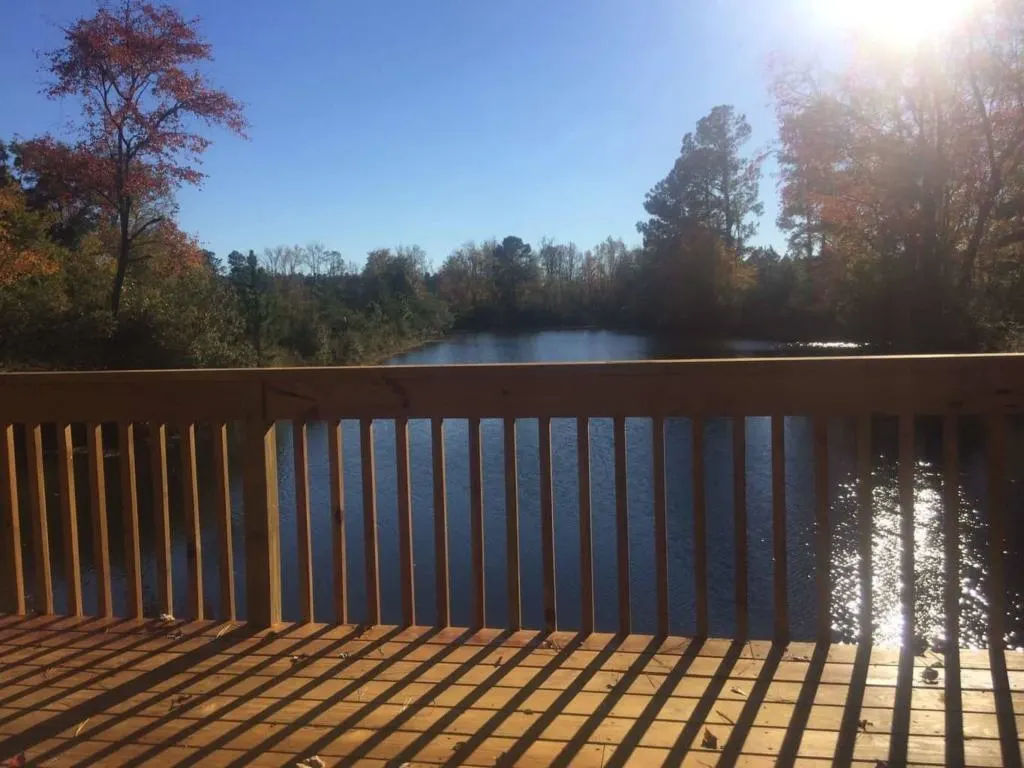 Pond Behind Shuler's BBQ in Latta, SC