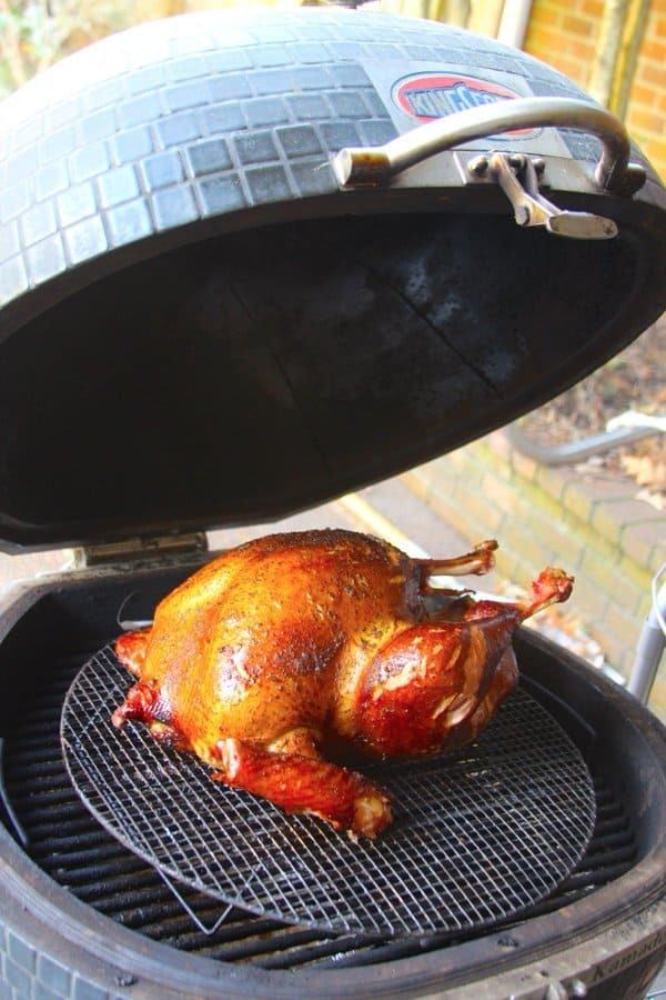 Turkey Tale
