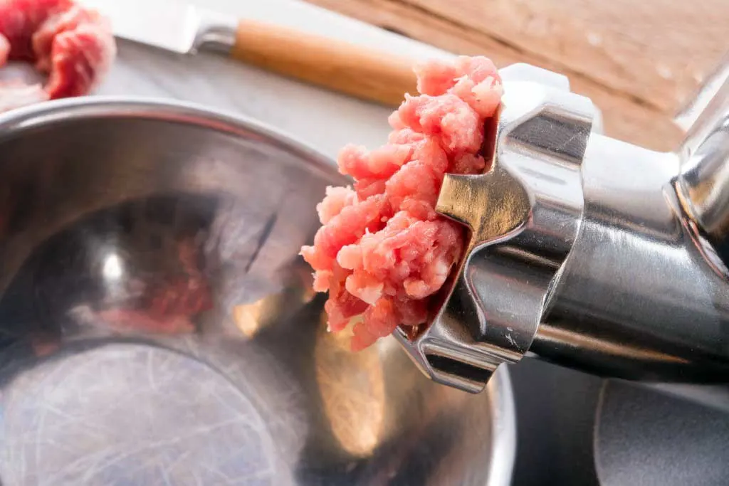 Gourmia GMG525 Meat Grinder Review: Powerful and Compact