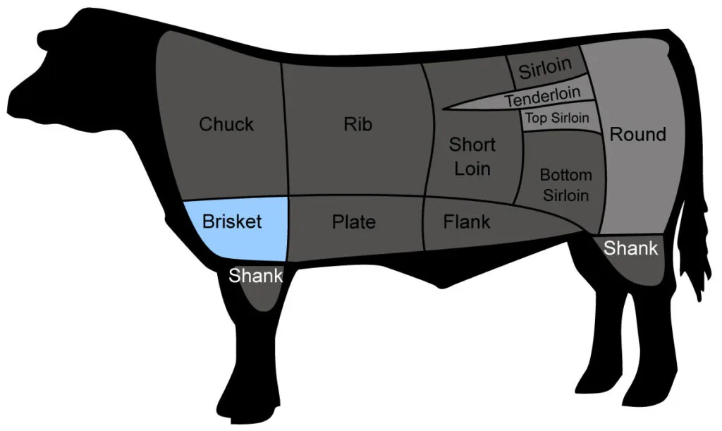 Illustrated diagram of the different cuts of meat on a cow, showing where each primal cut is found, highlighting brisket's location.
