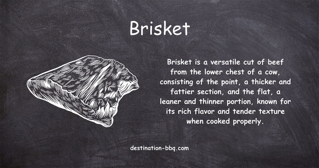 Chalkboard design for the term Brisket including a definition and a sketch of one.