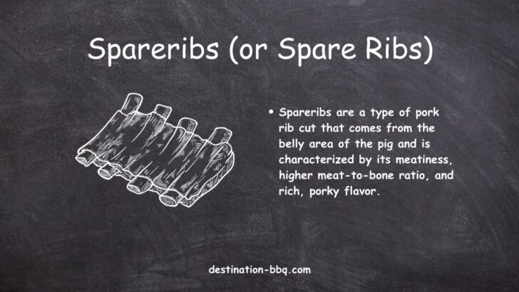 Spareribs or Spare Ribs defined and explained on chalkboard design with sketched image of ribs.