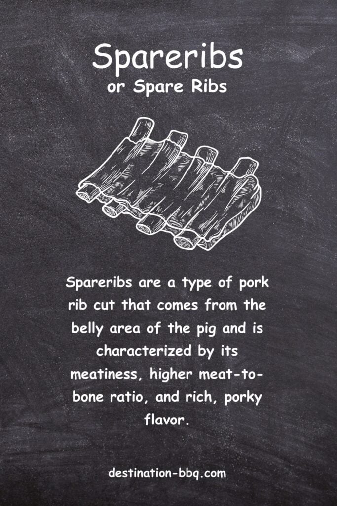 Spareribs or Spare Ribs defined and explained on chalkboard design with sketched image of ribs.