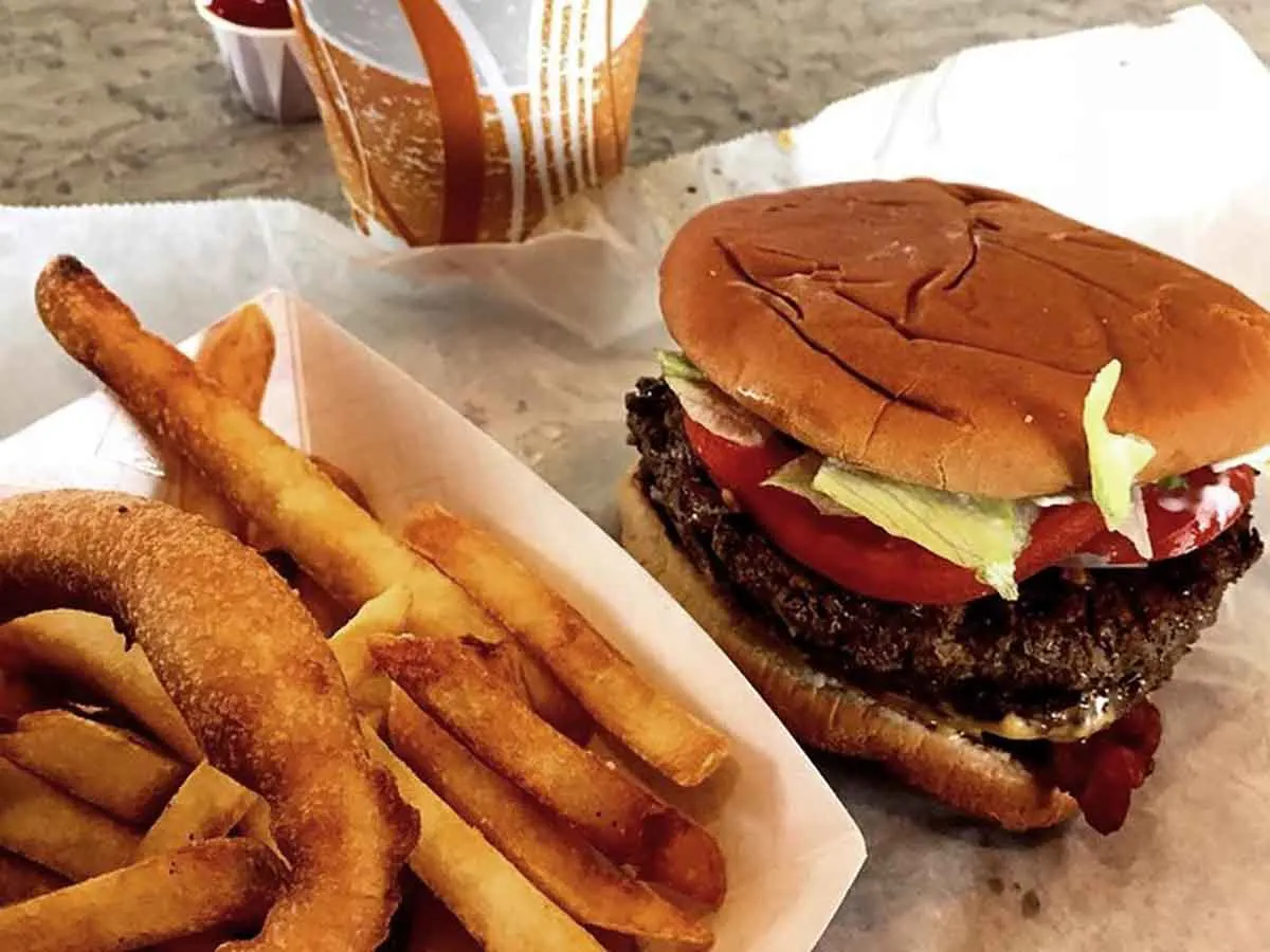 Burger with fries and an onion ring.