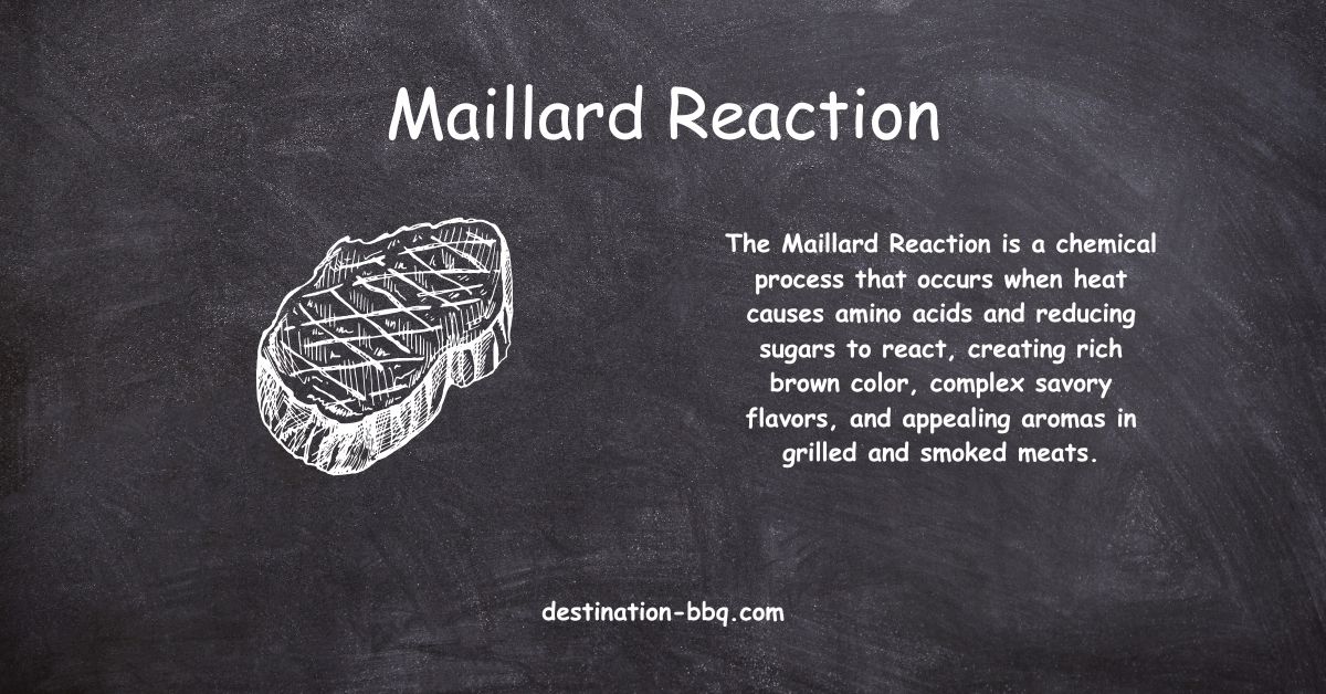 Chalkboard design for the term Maillard reaction including a definition and a sketch of a steak with grill marks.