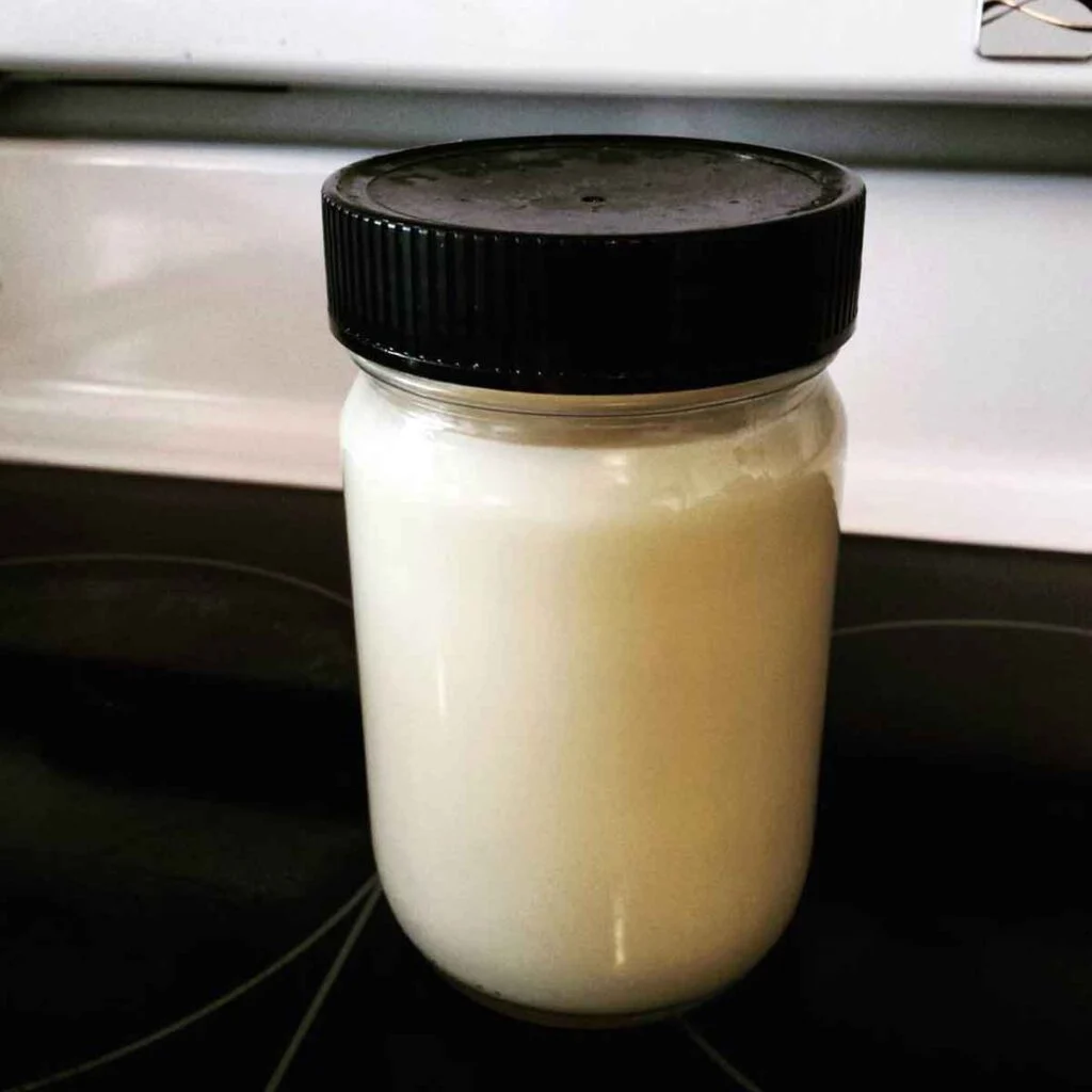 Mason jar with black top full of white tallow.