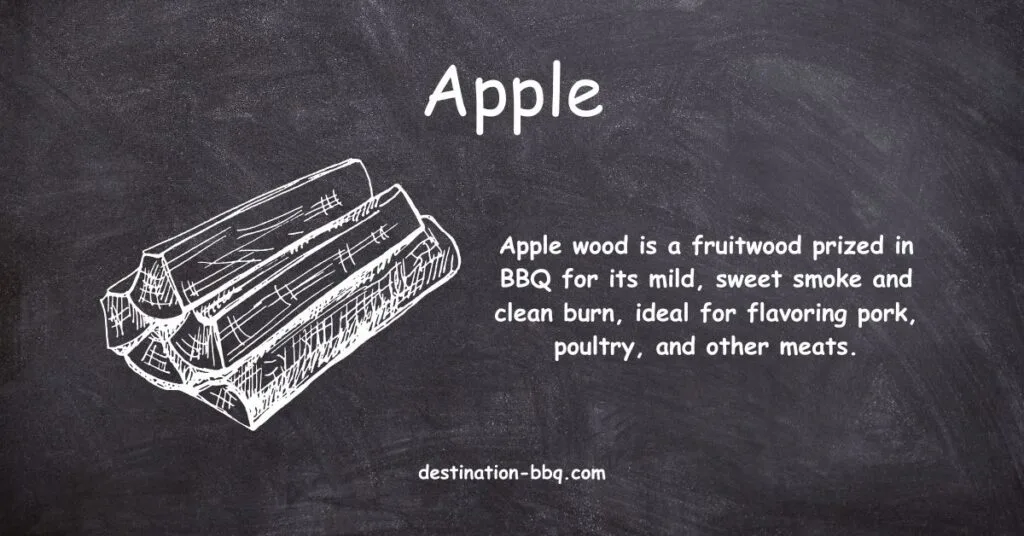 Chalkboard design for the BBQ term