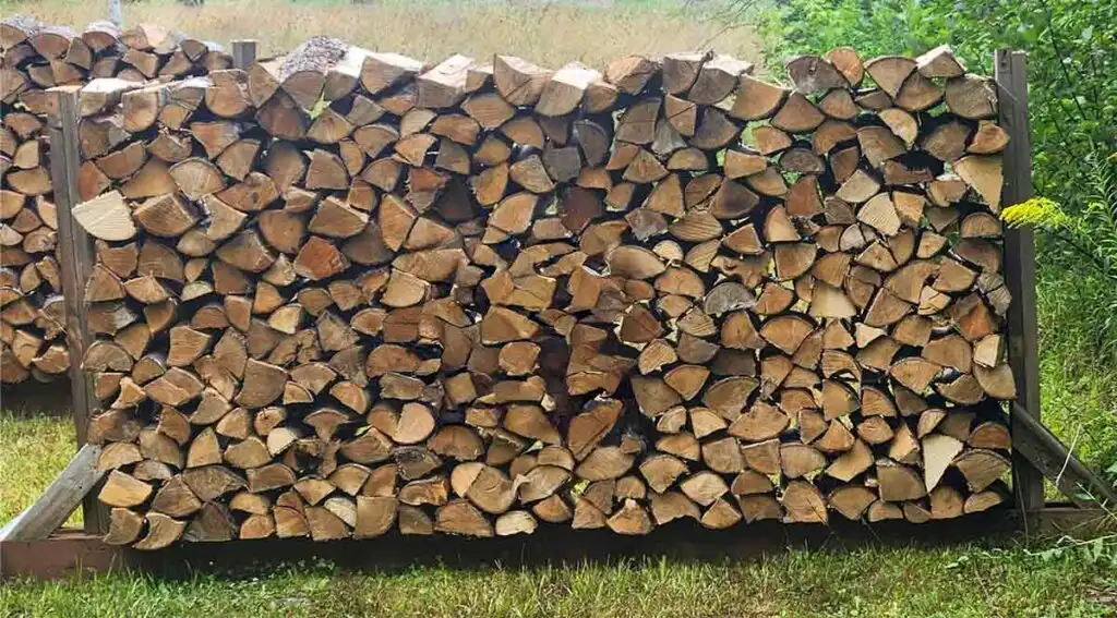 Maple firewood splits stacked in a cord.