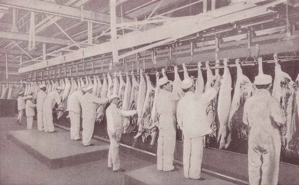 Men working a line in a meat packing house with whole hogs hanging.