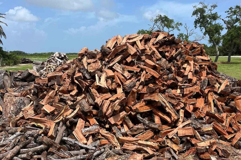 Large jumbled pile of mesquite firewood.