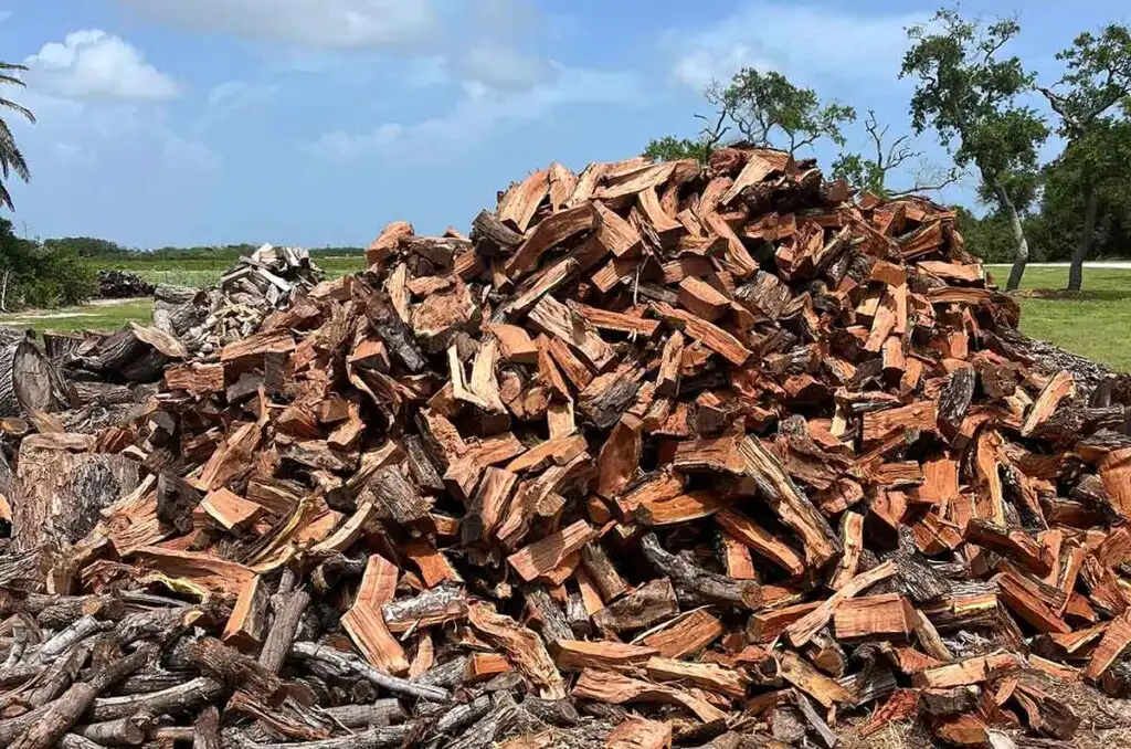 Large jumbled pile of mesquite firewood.
