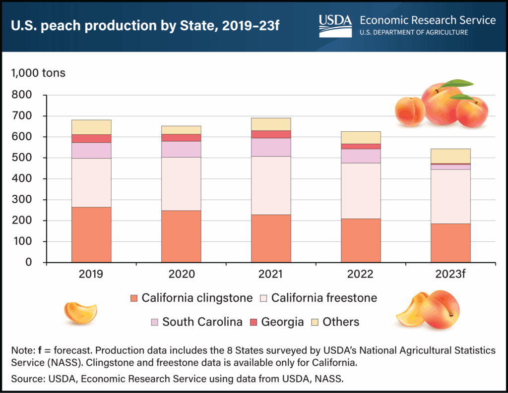 Chart by the USDA showing peach production in CA, SC, and GA.