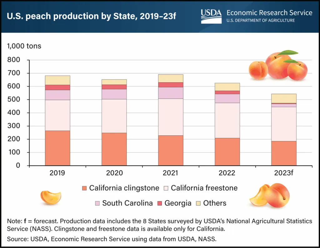 Chart by the USDA showing peach production in CA, SC, and GA.