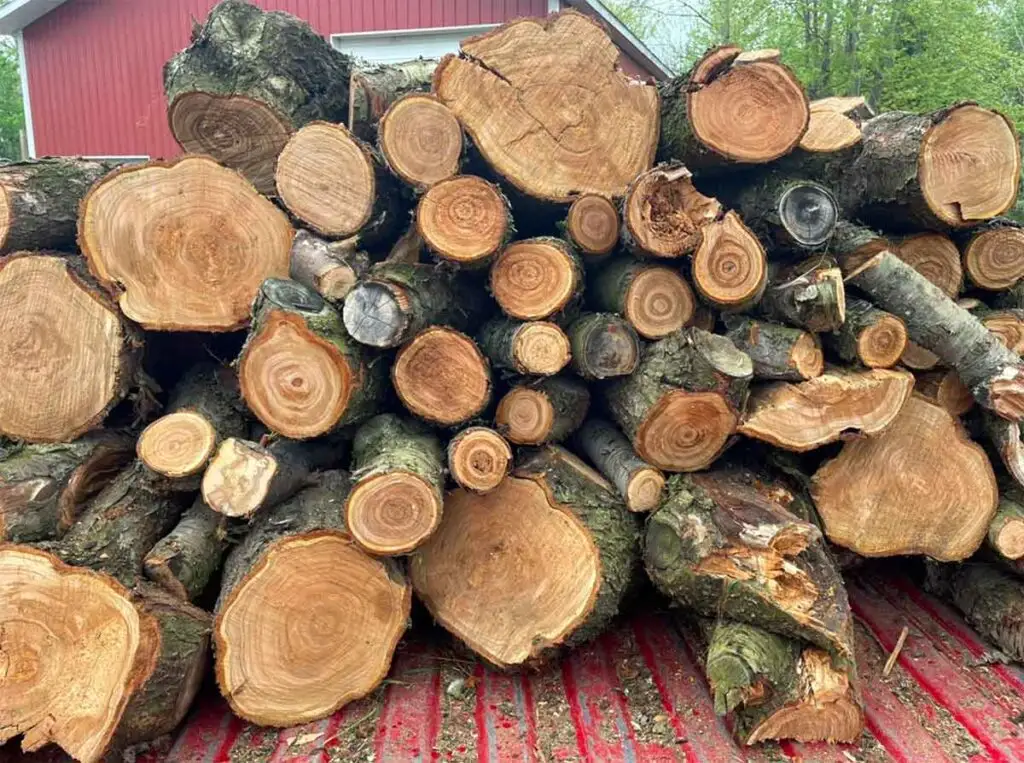 Round ends of cut peach wood stacked in back of truck.