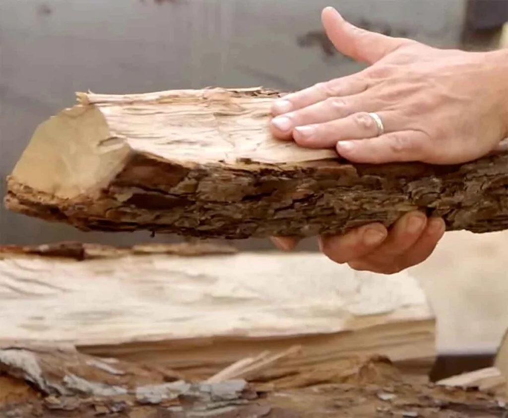 Closeup look at the tight grain of a pecan firewood log being held by two hands.