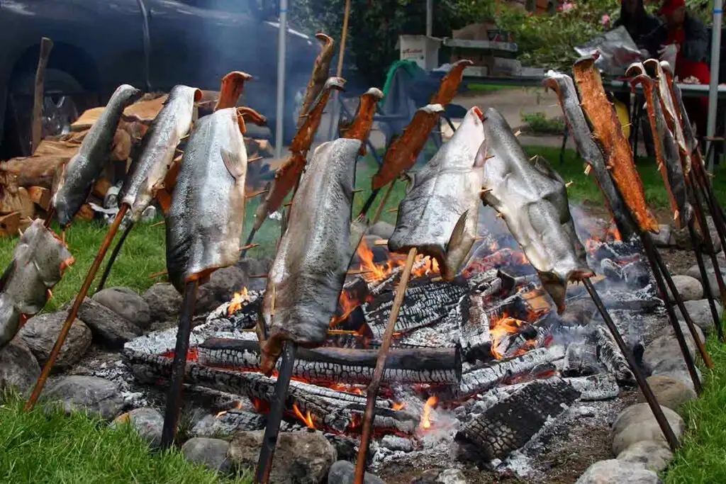 Salmon are lined up around an alder wood fire on the OSU campus before being served during the annual Salmon Bake. Date: May 11, 2011 (photo: Theresa Hogue)