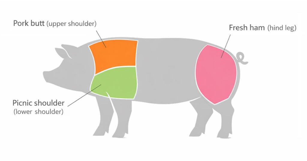 Pig cut diagram showing pork butt in the upper shoulder, picnic shoulder in the lower shoulder, and fresh ham in the hind leg.